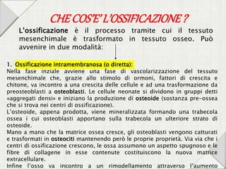 CHECOS’E’ L’OSSIFICAZIONE?
L’ossificazione è il processo tramite cui il tessuto
mesenchimale è trasformato in tessuto osseo. Può
avvenire in due modalità:
1. Ossificazione intramembranosa (o diretta):
Nella fase inziale avviene una fase di vascolarizzazione del tessuto
mesenchimale che, grazie allo stimolo di ormoni, fattori di crescita e
chitone, va incontro a una crescita delle cellule e ad una trasformazione da
preosteoblasti a osteoblasti. Le cellule neonate si dividono in gruppi detti
«aggregati densi» e iniziano la produzione di osteoide (sostanza pre-ossea
che si trova nei centri di ossificazione).
L’osteoide, appena prodotta, viene mineralizzata formando una trabecola
ossea i cui osteoblasti apportano sulla trabecola un ulteriore strato di
osteoide.
Mano a mano che la matrice ossea cresce, gli osteoblasti vengono catturati
e trasformati in osteociti mantenendo però le proprie proprietà. Via via che i
centri di ossificazione crescono, le ossa assumono un aspetto spugnoso e le
fibre di collagene in esse contenute costituiscono la nuova matrice
extracellulare.
Infine l’osso va incontro a un rimodellamento attraverso l’aumento
 