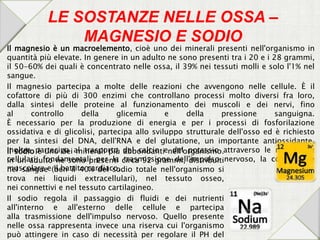 LE SOSTANZE NELLE OSSA –
MAGNESIO E SODIO
Il magnesio è un macroelemento, cioè uno dei minerali presenti nell'organismo in
quantità più elevate. In genere in un adulto ne sono presenti tra i 20 e i 28 grammi,
il 50-60% dei quali è concentrato nelle ossa, il 39% nei tessuti molli e solo l'1% nel
sangue.
Il magnesio partecipa a molte delle reazioni che avvengono nelle cellule. È il
cofattore di più di 300 enzimi che controllano processi molto diversi fra loro,
dalla sintesi delle proteine al funzionamento dei muscoli e dei nervi, fino
al controllo della glicemia e della pressione sanguigna.
È necessario per la produzione di energia e per i processi di fosforilazione
ossidativa e di glicolisi, partecipa allo sviluppo strutturale dell'osso ed è richiesto
per la sintesi del DNA, dell'RNA e del glutatione, un importante antiossidante.
Inoltre partecipa al trasporto del calcio e del potassio attraverso le membrane
cellulari, fondamentali per la trasmissione dell'impulso nervoso, la contrazione
muscolare e il battito cardiaco.
Il sodio è uno dei minerali più abbondanti nell'organismo.
In un adulto ne sono presenti circa 92 grammi, distribuiti
nel sangue (ben il 40% del sodio totale nell'organismo si
trova nei liquidi extracellulari), nel tessuto osseo,
nei connettivi e nel tessuto cartilagineo.
Il sodio regola il passaggio di fluidi e dei nutrienti
all'interno e all'esterno delle cellule e partecipa
alla trasmissione dell'impulso nervoso. Quello presente
nelle ossa rappresenta invece una riserva cui l'organismo
può attingere in caso di necessità per regolare il PH del
 