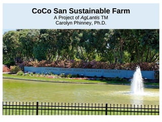 CoCo San Sustainable FarmCoCo San Sustainable Farm
A Project ofA Project of AgLantisAgLantis TMTM
Carolyn Phinney, Ph.D.Carolyn Phinney, Ph.D.
 