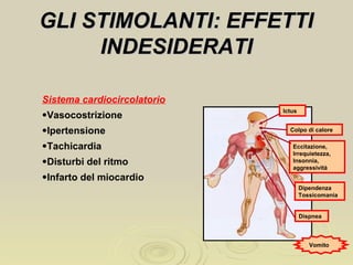 GLI STIMOLANTI: EFFETTIGLI STIMOLANTI: EFFETTI
INDESIDERATIINDESIDERATI
Sistema cardiocircolatorio
•Vasocostrizione
•Ipertensione
•Tachicardia
•Disturbi del ritmo
•Infarto del miocardio
Colpo di calore
Eccitazione,
Irrequietezza,
Insonnia,
aggressività
Dipendenza
Tossicomania
Dispnea
Vomito
Ictus
 