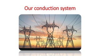 Our conduction system
 