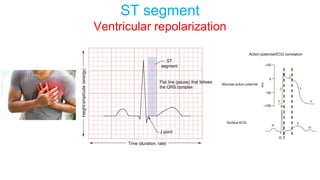ST segment
Ventricular repolarization
 