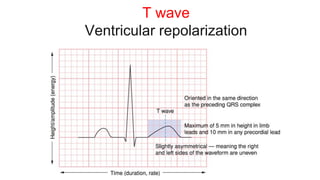 T wave
Ventricular repolarization
 