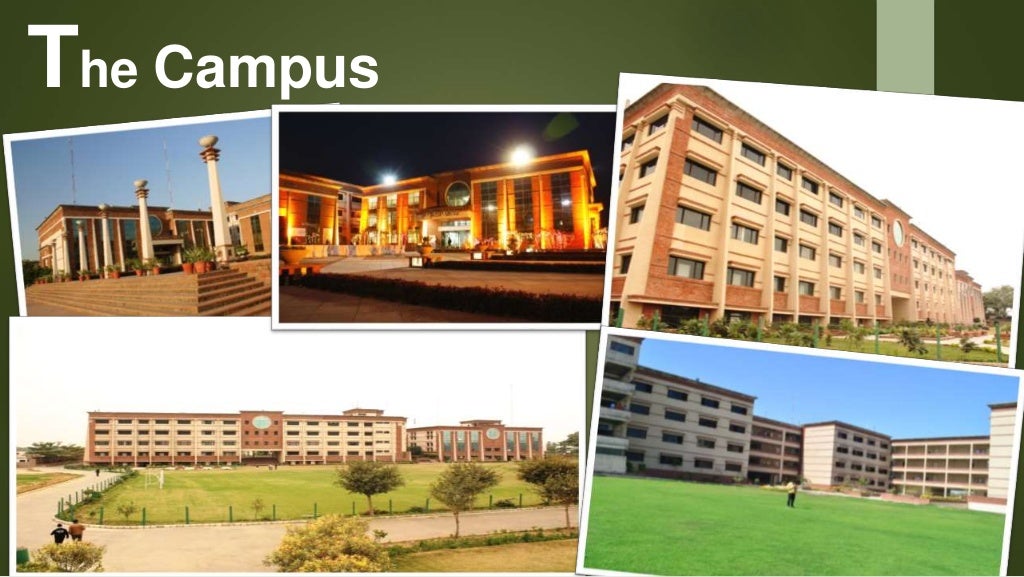 Top engineering colleges in Faridabad Delhi NCR