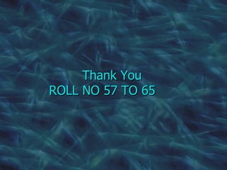 Thank You ROLL NO 57 TO 65 