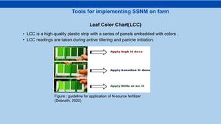 • LCC is a high-quality plastic strip with a series of panels embedded with colors .
• LCC readings are taken during active tillering and panicle initiation.
Tools for implementing SSNM on farm
Leaf Color Chart(LCC)
Figure : guideline for application of N-source fertilizer
(Debnath, 2020)
 