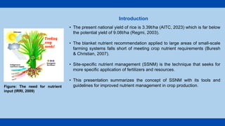 • The present national yield of rice is 3.39t/ha (AITC, 2023) which is far below
the potential yield of 9.08t/ha (Regmi, 2003).
• The blanket nutrient recommendation applied to large areas of small-scale
farming systems falls short of meeting crop nutrient requirements (Buresh
& Christian, 2007).
• Site-specific nutrient management (SSNM) is the technique that seeks for
more specific application of fertilizers and resources.
• This presentation summarizes the concept of SSNM with its tools and
guidelines for improved nutrient management in crop production.
Introduction
Feeding
crop
needs!
Figure: The need for nutrient
input (IRRI, 2009)
 