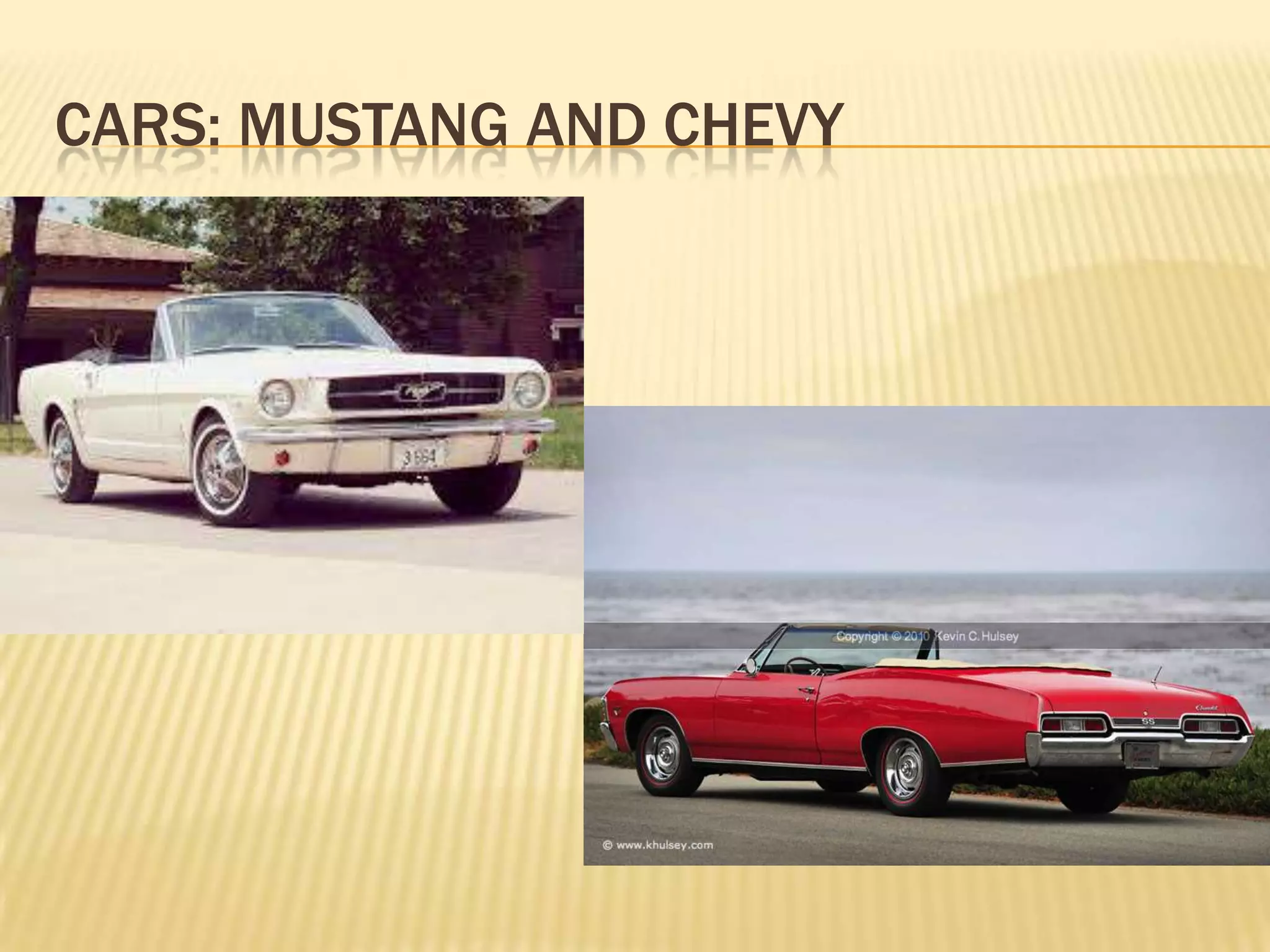 CARS: MUSTANG AND CHEVY
 