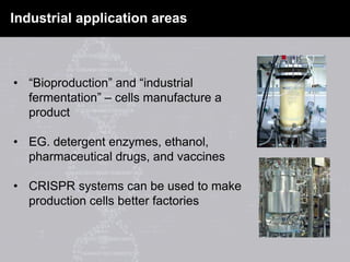 Industrial application areas
• “Bioproduction” and “industrial
fermentation” – cells manufacture a
product
• EG. detergent enzymes, ethanol,
pharmaceutical drugs, and vaccines
• CRISPR systems can be used to make
production cells better factories
 