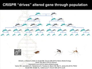 Gantz VM, Bier E (2015) Science
DiCarlo J, Chavez A, Dietz S, Esvelt KM, Church GM (2015) Nature Biotechnology
Gantz VM, Jasinskiene N, Tatarenkova O, Fazekas A, Macis VM, Bier E, James AA (2015) PNAS
Hammond A et al (2016) Nature Biotechnology
Esvelt KM, Smidler AL, Catteruccia F, Church GM (2014) eLife
CRISPR “drives” altered gene through population
 