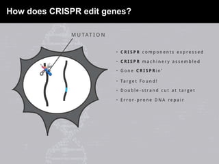 How does CRISPR edit genes?
 
