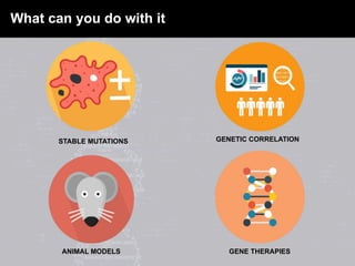 What can you do with it
STABLE MUTATIONS GENETIC CORRELATION
ANIMAL MODELS GENE THERAPIES
 