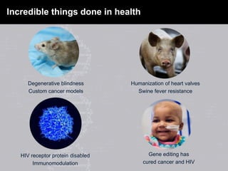 Incredible things done in health
Degenerative blindness
Custom cancer models
Humanization of heart valves
Swine fever resistance
HIV receptor protein disabled
Immunomodulation
Gene editing has
cured cancer and HIV
 