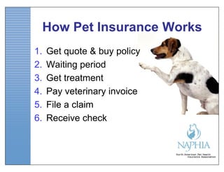 How Pet Insurance Works
1.   Get quote & buy policy
2.   Waiting period
3.   Get treatment
4.   Pay veterinary invoice
5.   File a claim
6.   Receive check
 