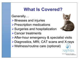 What Is Covered?
Generally…
Illnesses and injuries
Prescription medications
Surgeries and hospitalization
Cancer treatments
After-hour emergency & specialist visits
Diagnostics, MRI, CAT scans and X-rays
Wellness/routine care (optional)
 