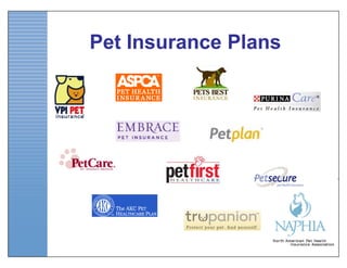 Pet Insurance Plans
 