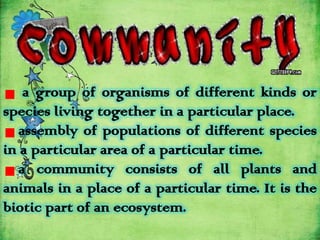 the organization of communities | PPTX