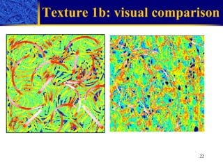 Texture 1b: visual comparison 