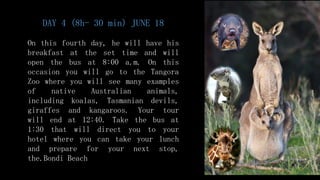DAY 4 (8h- 30 min) JUNE 18
On this fourth day, he will have his
breakfast at the set time and will
open the bus at 8:00 a.m. On this
occasion you will go to the Tangora
Zoo where you will see many examples
of native Australian animals,
including koalas, Tasmanian devils,
giraffes and kangaroos. Your tour
will end at 12:40. Take the bus at
1:30 that will direct you to your
hotel where you can take your lunch
and prepare for your next stop,
the.Bondi Beach
 