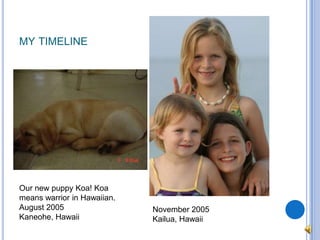 my timelineOur new puppy Koa! Koa means warrior in Hawaiian.August 2005Kaneohe, HawaiiNovember 2005Kailua, Hawaii