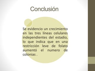 Conclusión
Se evidencio un crecimiento
en las tres líneas celulares
independientes del estadio,
lo que indica que en una
restricción leve de folato
aumentó el numero de
colonias .
 