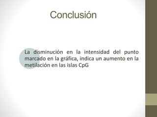 Conclusión
La disminución en la intensidad del punto
marcado en la gráfica, indica un aumento en la
metilación en las islas CpG
 
