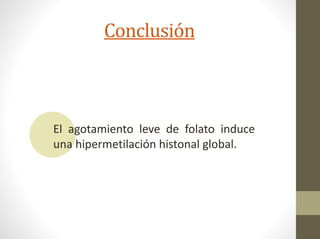Conclusión
El agotamiento leve de folato induce
una hipermetilación histonal global.
 