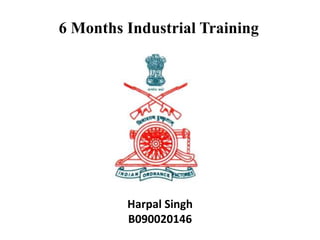 6 Months Industrial Training




         Harpal Singh
         B090020146
 