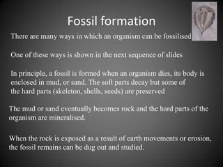 Fossil formation
There are many ways in which an organism can be fossilised

One of these ways is shown in the next sequence of slides

In principle, a fossil is formed when an organism dies, its body is
enclosed in mud, or sand. The soft parts decay but some of
the hard parts (skeleton, shells, seeds) are preserved

The mud or sand eventually becomes rock and the hard parts of the
organism are mineralised.

When the rock is exposed as a result of earth movements or erosion,
the fossil remains can be dug out and studied.
 