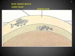 7
land raised above
water level
                    recent rock
                                  older rock
 