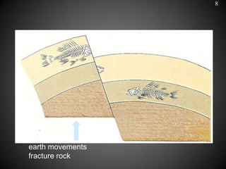 8




                  fossilised skeleton exposed




earth movements
fracture rock
 
