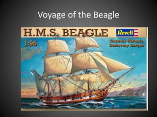 Voyage of the Beagle
 