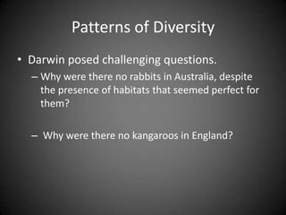 Patterns of Diversity
• Darwin posed challenging questions.
  – Why were there no rabbits in Australia, despite
    the presence of habitats that seemed perfect for
    them?

  – Why were there no kangaroos in England?
 