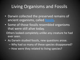Living Organisms and Fossils
• Darwin collected the preserved remains of
  ancient organisms, called fossils.
• Some of those fossils resembled organisms
  that were still alive today.
 Others looked completely unlike any creature he had
  ever seen.
• As Darwin studied fossils, new questions arose.
   – Why had so many of these species disappeared?
   – How were they related to living species?
 
