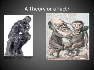 A Theory or a Fact?
 