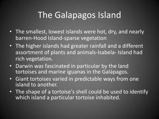 The Galapagos Island
• The smallest, lowest islands were hot, dry, and nearly
  barren-Hood Island-sparse vegetation
• The higher islands had greater rainfall and a different
  assortment of plants and animals-Isabela- Island had
  rich vegetation.
• Darwin was fascinated in particular by the land
  tortoises and marine iguanas in the Galápagos.
• Giant tortoises varied in predictable ways from one
  island to another.
• The shape of a tortoise's shell could be used to identify
  which island a particular tortoise inhabited.
 