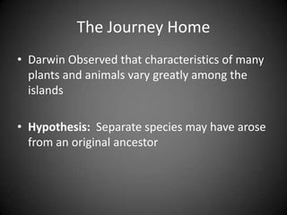 The Journey Home
• Darwin Observed that characteristics of many
  plants and animals vary greatly among the
  islands

• Hypothesis: Separate species may have arose
  from an original ancestor
 