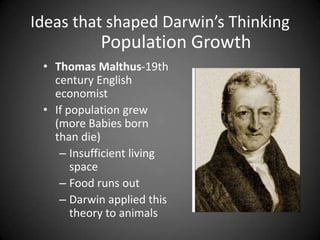 Ideas that shaped Darwin’s Thinking
            Population Growth
 • Thomas Malthus-19th
   century English
   economist
 • If population grew
   (more Babies born
   than die)
    – Insufficient living
       space
    – Food runs out
    – Darwin applied this
       theory to animals
 