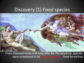 Discovery (1) Fixed species




From Classical times until long after the Renaissance, species
     were considered to be special creations, fixed for all time.
 