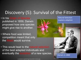 Discovery (5): Survival of the Fittest
• In his Origin of Species,                                         Natural Selection
                                                                    explains adaption
  published in 1859, Darwin
  proposed how one species
  might give rise to another.

• Where food was limited,
  competition meant that only
  the fittest would survive.

• This would lead to the natural selection
  of the best adapted individuals and
  eventually the evolution of a new species.
                                                                    Darwin in 1860
              en.wikipedia.org/wiki/Image:Darwin%27s_finches.jpeg
 