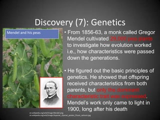 Discovery (7): Genetics
Mendel and his peas                                • From 1856-63, a monk called Gregor
                                                     Mendel cultivated 29,000 pea plants
                                                     to investigate how evolution worked
                                                     i.e., how characteristics were passed
                                                     down the generations.

                                                   • He figured out the basic principles of
                                                     genetics. He showed that offspring
                                                     received characteristics from both
                                                     parents, but only the dominant
                                                     characteristic trait was expressed.
                                                     Mendel’s work only came to light in
                                                     1900, long after his death
            en.wikipedia.org/wiki/Image:Mendel.png
            en.wikipedia.org/wiki/Image:Doperwt_rijserwt_peulen_Pisum_sativum.jpg
 