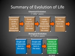 Summary of Evolution of Life
                      Chemical Evolution
                        (1 billion years)

 Formation          Small            Large                 First
   of the          organic           organic             protocells
   earth’s        molecules        molecules              form in
    early          form in       (biopolymers)           the seas
 crust and        the seas           form in
atmosphere                          the seas
                      Biological Evolution
                        (3.7 billion years)


        Single-cell      Single-cell           Variety of
       prokaryotes       eukaryotes           multicellular
          form in          form in             organisms
         the seas         the seas             form, first
                                              in the seas
                                                and later
                                                on land
 