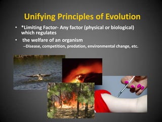 Unifying Principles of Evolution
• *Limiting Factor- Any factor (physical or biological)
  which regulates
• the welfare of an organism
   –Disease, competition, predation, environmental change, etc.
 