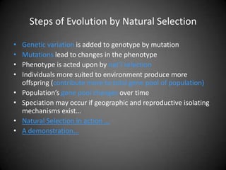 Steps of Evolution by Natural Selection

•   Genetic variation is added to genotype by mutation
•   Mutations lead to changes in the phenotype
•   Phenotype is acted upon by nat’l selection
•   Individuals more suited to environment produce more
    offspring (contribute more to total gene pool of population)
•   Population’s gene pool changes over time
•   Speciation may occur if geographic and reproductive isolating
    mechanisms exist…
•   Natural Selection in action ...
•   A demonstration...
 