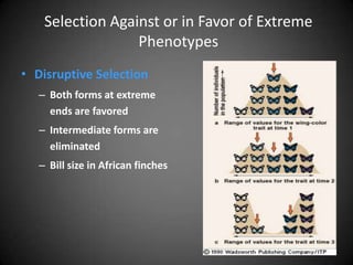 Selection Against or in Favor of Extreme
                  Phenotypes
• Disruptive Selection
   – Both forms at extreme
     ends are favored
   – Intermediate forms are
     eliminated
   – Bill size in African finches
 