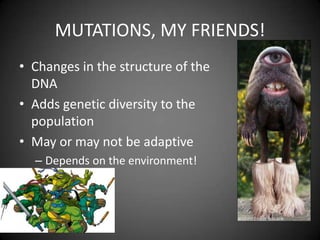 MUTATIONS, MY FRIENDS!
• Changes in the structure of the
  DNA
• Adds genetic diversity to the
  population
• May or may not be adaptive
  – Depends on the environment!
 