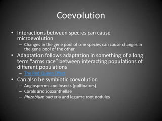 Coevolution
• Interactions between species can cause
  microevolution
   – Changes in the gene pool of one species can cause changes in
     the gene pool of the other
• Adaptation follows adaptation in something of a long
  term “arms race” between interacting populations of
  different populations
   – The Red Queen Effect
• Can also be symbiotic coevolution
   – Angiosperms and insects (pollinators)
   – Corals and zooxanthellae
   – Rhizobium bacteria and legume root nodules
 