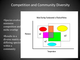 Competition and Community Diversity


•Species evolve to
minimize
competition and
niche overlap

•Results in a
diverse matrix of
differing species
within a
community
 