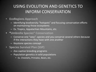 USING EVOLUTION AND GENETICS TO
          INFORM CONSERVATION
• EcoRegions Approach
   – Identifying biodiversity “hotspots” and focusing conservation efforts
     on maintaining those ecosystems
   – Ex. Tropics, Appalachian Mountains, etc.
• “Umbrella Species” Conservation
   – Conserve one “sexy”, species and you conserve several others because
     if the interactions they have with one another
   – Keystone species concept
• Species Survival Plan (SSP)
   – Zoo captive breeding programs
   – Population genetics in wild populations
       • Ex. Cheetahs, Primates, Bears, etc.
 