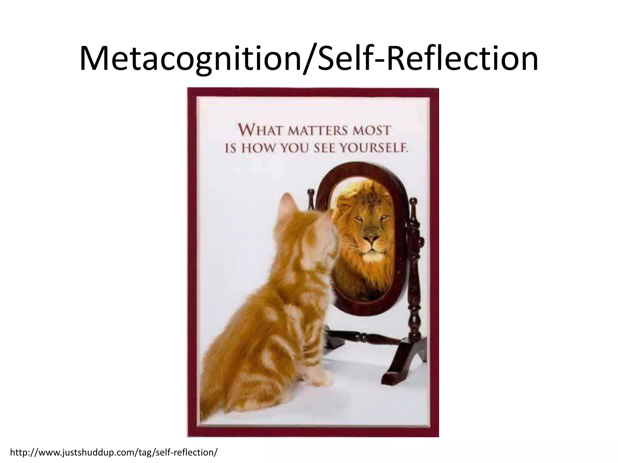 Metacognition/Self-Reflection
http://www.justshuddup.com/tag/self-reflection/
 